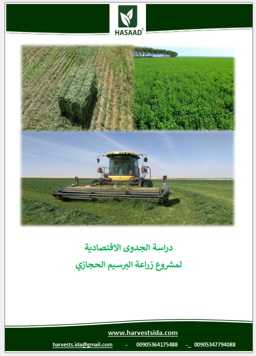 دراسة الجدوى الاقتصادية لمشروع زراعة البرسيم