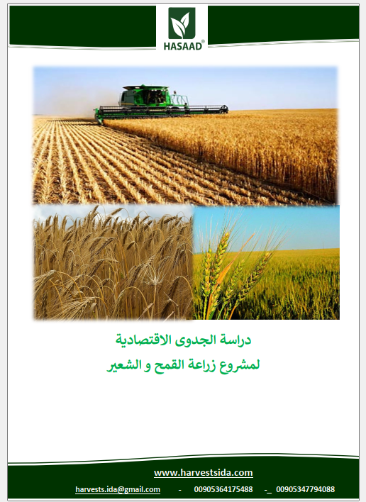 دراسة الجدوى الاقتصادية لزراعة القمح و الشعير