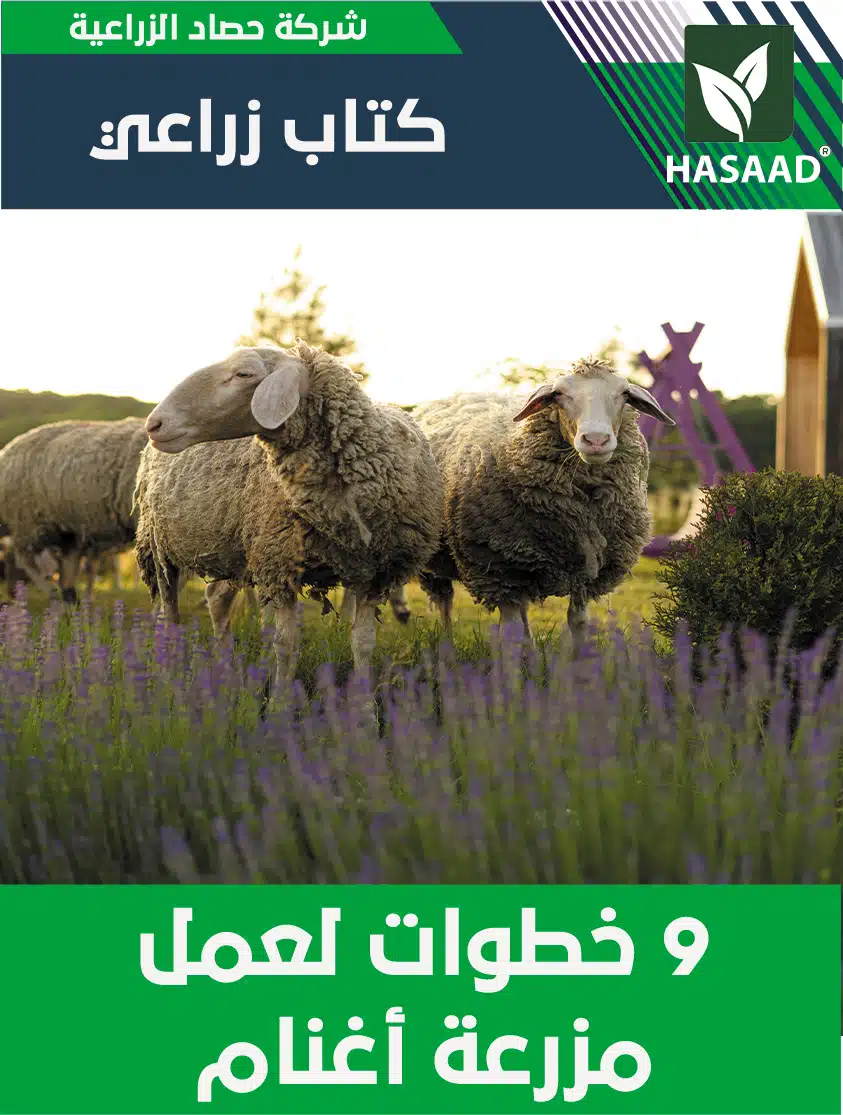 كتاب 9 خطوات لعمل مزرعة اغنام