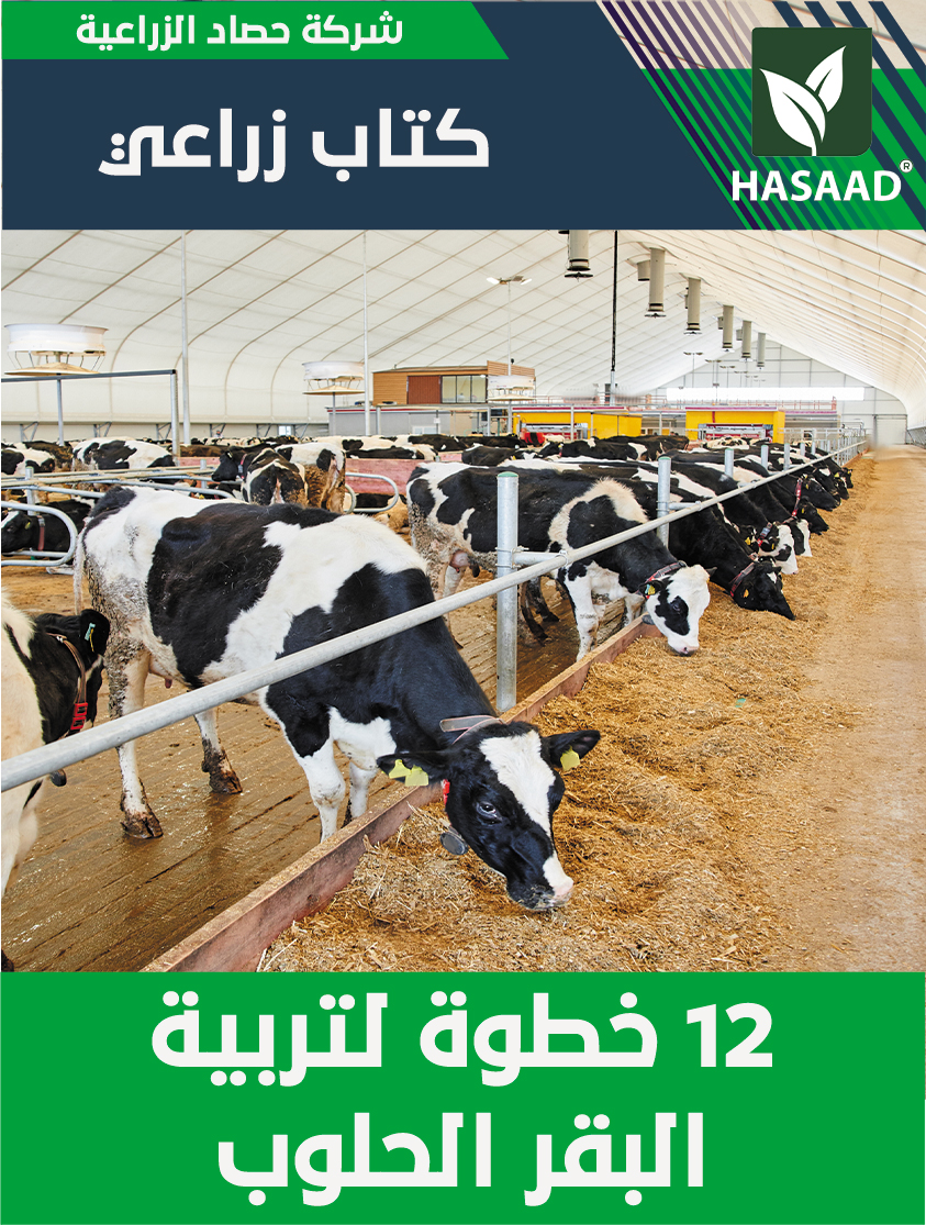 كتاب 12 خطوة لتربية البقر الحلوب