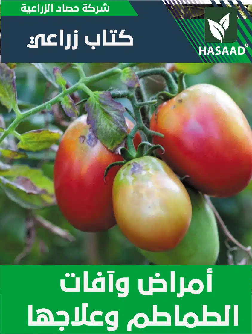 كتاب أمراض وآفات الطماطم وعلاجها