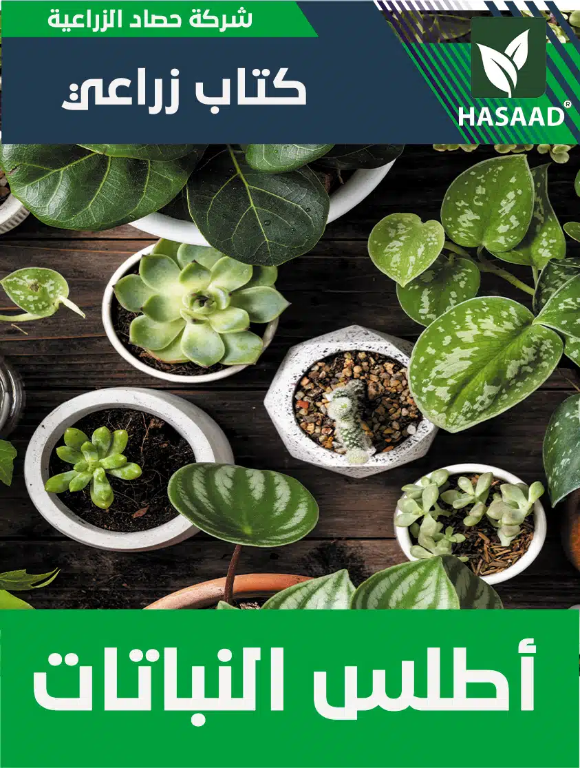 كتاب اطلس النباتات