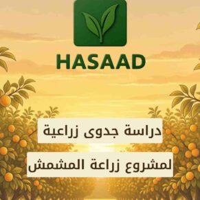 دراسة جدوى مشروع زراعة المشمش