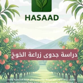 دراسة جدوى مشروع زراعة الخوخ