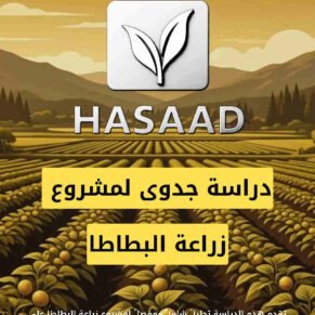 دراسة جدوى مشروع زراعة البطاطا