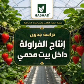 دراسة جدوى إنتاج الفراولة داخل بيت محمي