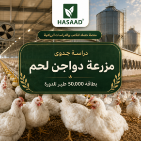 دراسة جدوى مزرعة دواجن لاحم 50000 دجاجة