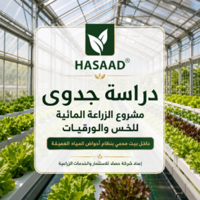 راسة جدوى مشروع الزراعة المائية للخس والورقيات